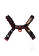 Rouge Leather Over The Head Harness Black With Red...